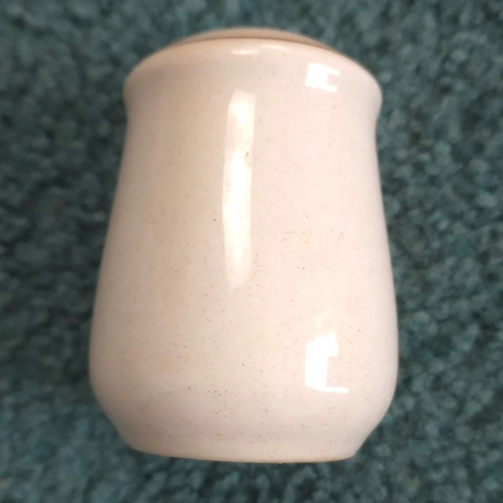 Vintage Newcor Our Country Stoneware Salt Shaker Cream Speckled Ceramic Houses